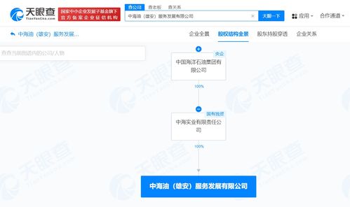 中國海油在雄安成立服務發展公司，注冊資本1億聚焦網絡技術服務