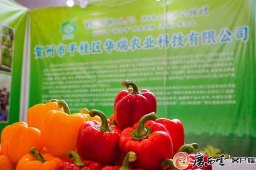 桂字號農業品牌西安推介會 廣西初級農產品閃耀古城