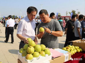 中國汾西第二屆核桃節暨消費扶貧農產品展銷會盛大開幕，助力初級農產品產業發展