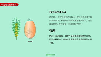 農產品基礎知識系列 大豆、小麥與家禽家畜