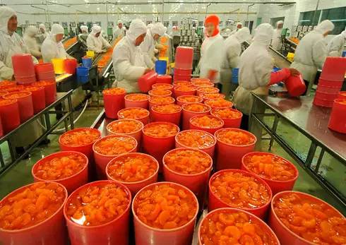 農業的五座“金礦” 抓住初級農產品機遇，實現創富增收