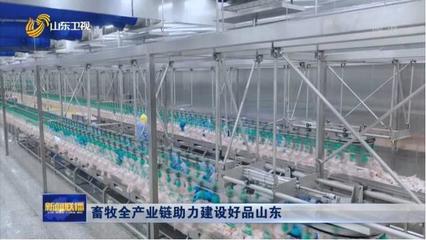 《山東新聞聯播》| 鳳祥股份全產業鏈助力建設好品山東，初級農產品提質增效