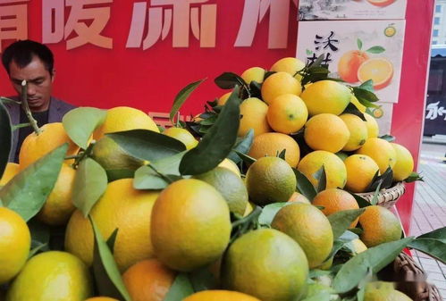 冷水灘 品味天然之味，開啟農產品“買買買”之旅