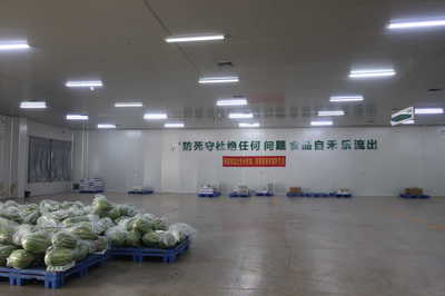 龍頭企業引領，搭乘“廣西好嘢”快車——平南縣農產品物流發展駛入快車道