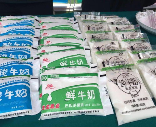 我市多舉措增進民生福祉 養老金上調、交通優化與科技興農齊頭并進