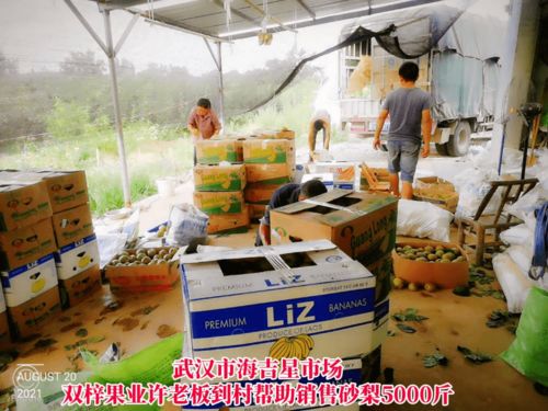 線上線下齊發(fā)力，石橋驛鎮(zhèn)為滯銷農(nóng)產(chǎn)品打開新銷路